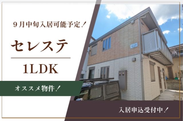 おすすめ物件！セレステ  入居者募集中！